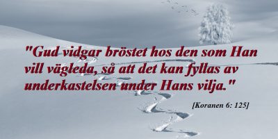 Fördelar med att bli muslim