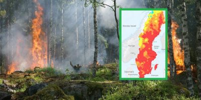 Skogsbrand i Sverige