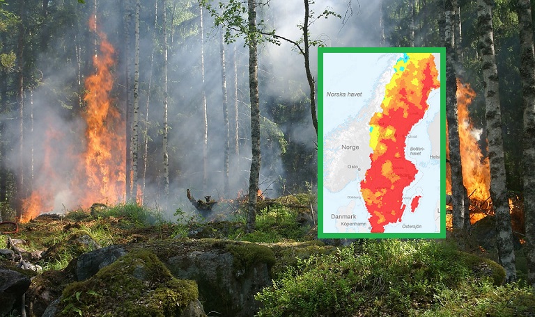 Skogsbrand i Sverige