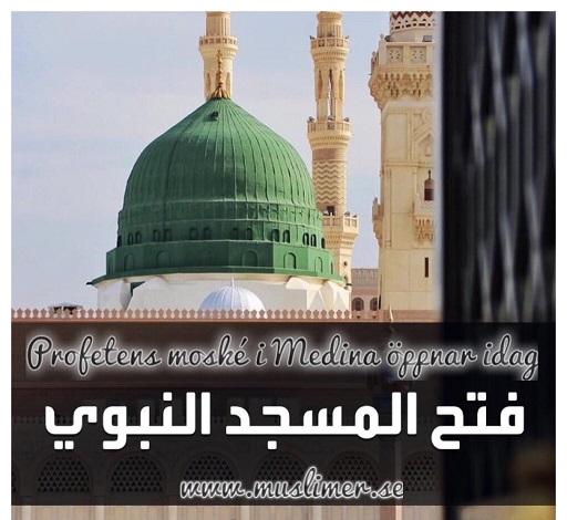 Profetens moské öppnar igen